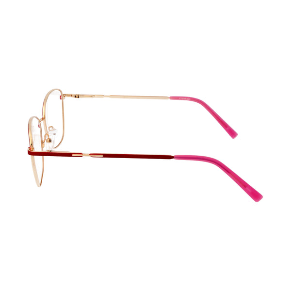 Eyewear (E2050/C2)